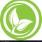 tree-leaf-logo-design-eco-friendly-concept-vector-17357023